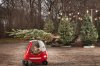 little-boy-with-christmas-tree-on-top-of-toy-car.jpg