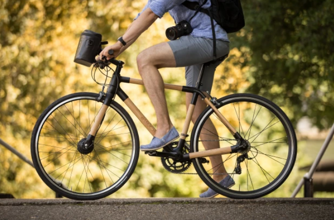sartori electric bike conversion kit