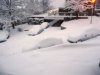 snow 2.jpg