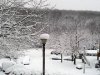 snow 3.jpg