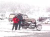 Harley In Snow.jpg
