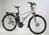 906Alpino 2 100.jpg