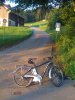 Bike6.jpg