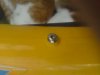 DSC00166_SCREW_HEAD.jpg