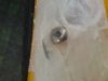 DSC00168_SCREW_HEAD_SLOT.jpg