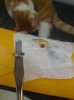 DSC00169_SCREW_OUT.jpg