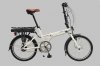 806Alpino 2 100.jpg