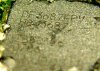 DF3687FPV.jpg