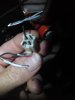 WIRING_HPVELO_SM 022.jpg