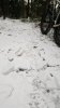 3 - frozen.jpg