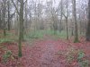 Ride to work Jan 16 004.JPG
