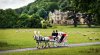 Horse-Carraige-Dumbleton.jpg