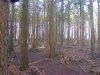 DSCF0005.JPG