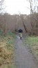 giant uphill.jpg