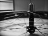 P1010075-Edit.jpg