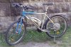 Specialized1.jpg