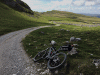 SettleLoop1.gif