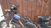 DSC00567.JPG