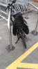 IMG_20170624_183446.jpg
