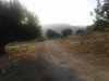 20170815_065334.jpg