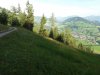 20170818_084641.jpg