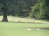 DSCF0960.JPG