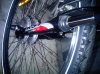 IMG00486-20111025-1442.jpg