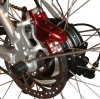 reardisk_crop.jpg