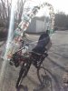DSC00781.jpg