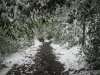 Ride to work Snow 19 03 18 012.JPG