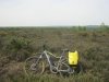 Ride to work Thursley 19 05 18 009.JPG