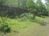 Ride to work Thursley 19 05 18 020.JPG