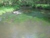 Ride to work Thursley 19 05 18 026.JPG