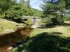 IMG_20180625_110053.jpg