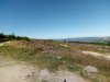 IMG_20180628_094117.jpg