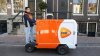 dutch_post.jpg