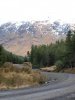P1012629-forest road.jpg