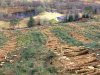 P1012643-Salachail&logs.jpg