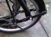IMG00534-20130209-1428.jpg