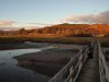 P1012364-resized.jpg
