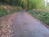 rps20130330_193253_513.jpg