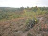 Thursley Common and The Punchbowl 23 10 2020 005.JPG