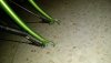 IMG-20210103-WA0005.jpeg