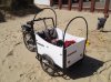 beach 029.jpg