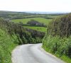 Cornish Lane - Small.jpg