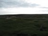 Bleak Moors-2.jpg