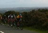 Wiggo in front.jpg
