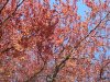 IMG_20220423_133452687.jpg
