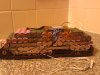 IMG_20220704_043006.jpg