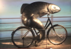 the-fish-needs-a-bike.png